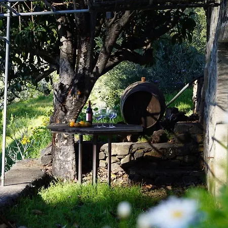 Holiday home El Sitio- Relaxen Ueber Den Wolken, Pool *